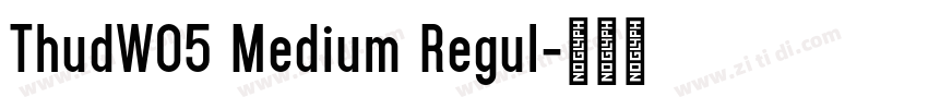 ThudW05 Medium Regul字体转换